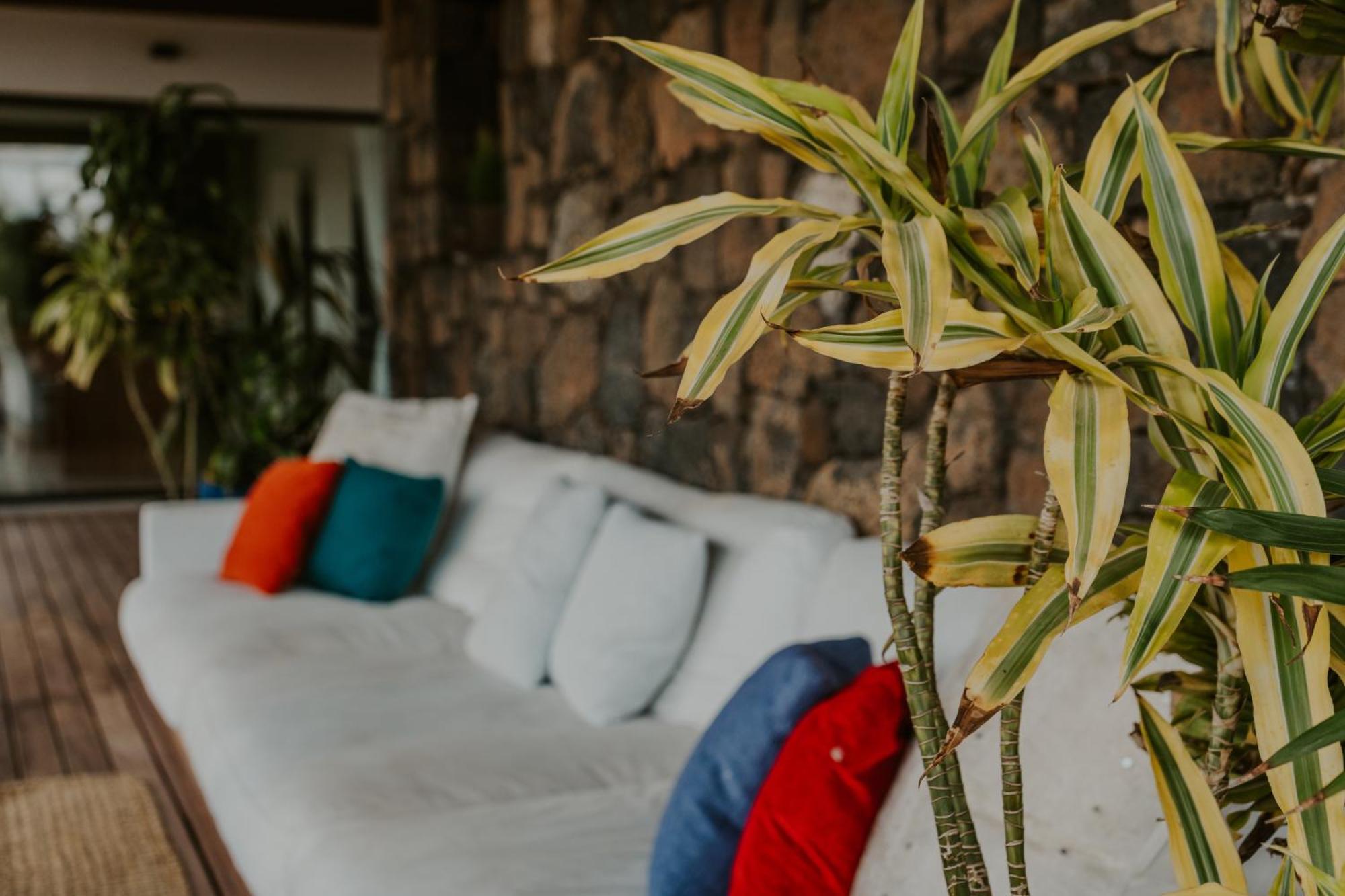 Villa Shepherd Lajares - Luxury Villa Fuerteventura Luaran gambar